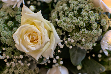 wedding white rose