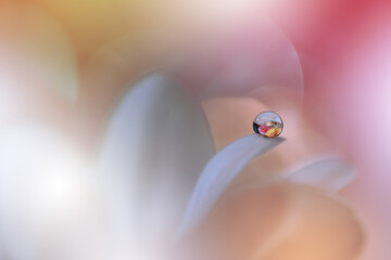 Beautiful Macro Shot of Magic Flowers.Border Art Design.Magic Light.Extreme Close up Photography.Conceptual Abstract Image.White and Pink Background.Fantasy Art.Creative Wallpaper.Beautiful Nature.