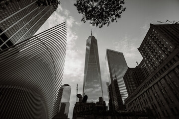 Feel New York City