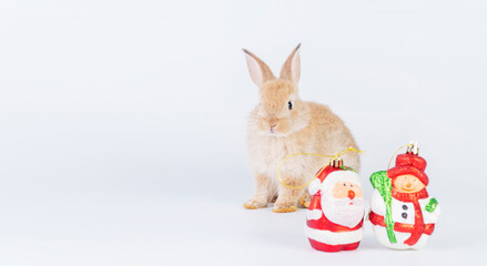 Adorable little brown rabbit bunny with decoration santa and snowman while sitting over isolate white background. Holiday festive, celebration, Christmas concept.