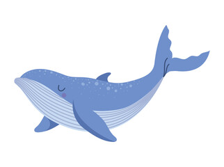 nice blue whale
