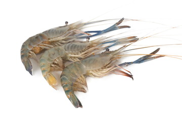Giant freshwater prawn isolated on white,fresh food concept.