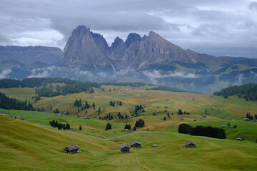 Fototapeta na wymiar Meadows of the Dolomites. Alpe Di Siusi, Italy.