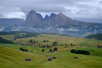 Meadows of the Dolomites. Alpe Di Siusi, Italy.