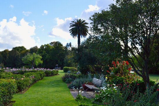 A view at Centennial Park in Sydney, Australia