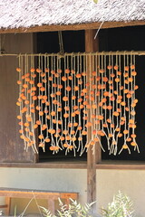 秋の干し柿　タテ