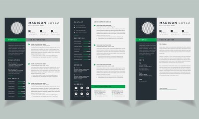 Modern Resume / CV template dark color 2-page job application