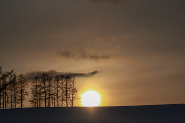 夕日が沈む冬の丘
