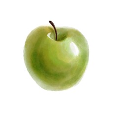 drawing green apple, fruit at white background, hand drawn illustration