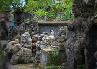 Fototapeta na wymiar townscape in Bali island. Ubud,ricefield,plant,flower,insence,fishing,landscape sky,forest,