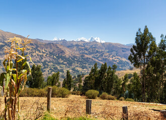 Fototapeta na wymiar Stunning landscape of the Cordillera Blanca from a corn field.