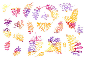 Watercolor artistic multicolor Set of floral elements in the style of line art wedding theme on a white background. Doodle and scribble. Orange, violet, yellow, pink, brown and purple leafs for