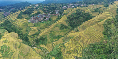 Aerial view of rice fields in Longji, China