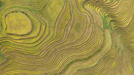 Top down view of rice fields in China - Longji