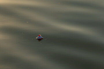 Fishing bobber floating on water 