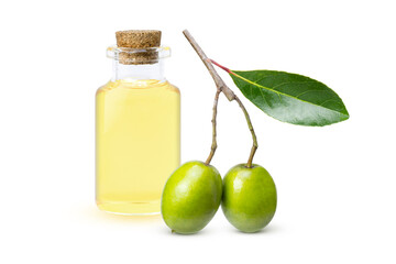 olive oil and olives fruit with green leaf