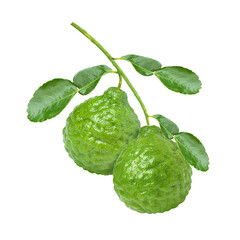 Bergamot lime isolated on white