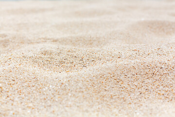 Sand texture background close up, sea sandy beach backdrop, white sand surface top view, yellow...