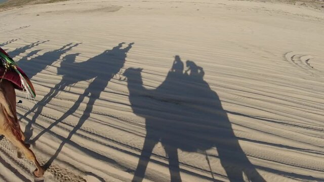 sombras de camellos tustas viajando en los cabos mexico baja califormia