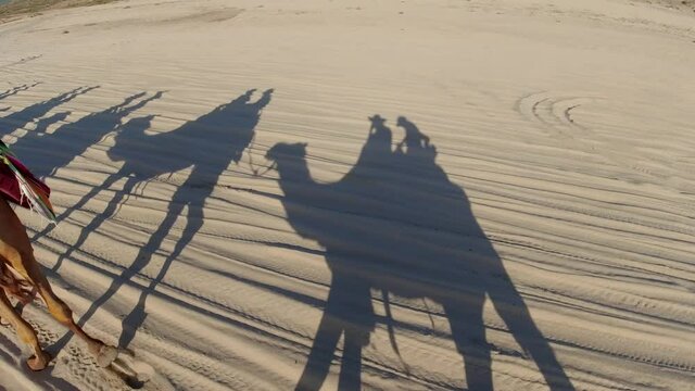 sombras de camellos turistas viajando los cabos baja california mexico
