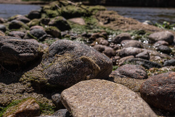 pebble stone or river bank ball and sand