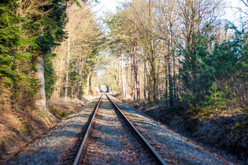 railway in the woods