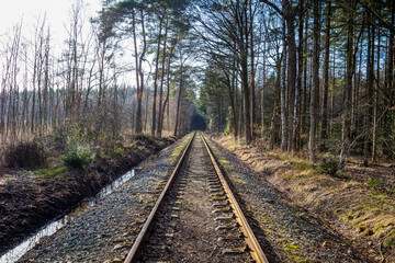 Fototapeta premium railway in the woods