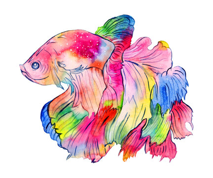 recommend clip art: Bright multi-colored rainbow fish with a chic tail fan, space-style sea fish, watercolor stylish illustration drawn by hand, for prints, calendars, patterns.