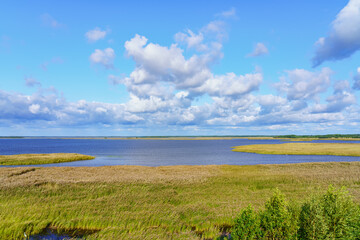 Fototapeta na wymiar Protected swampy green area for wild birds by the sea in southern Estonia.