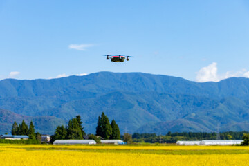 ドローン　農業　活用イメージ　秋の田園風景