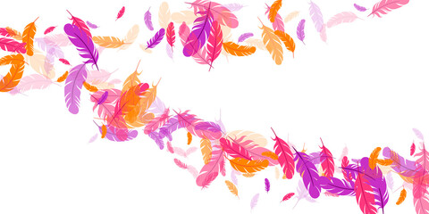Fototapeta na wymiar Orange purple pink red feather floating background