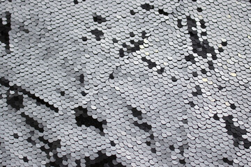 scaly background, gray background with a pattern. background for text