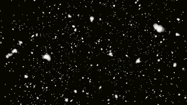 Real falling winter snow on a black background