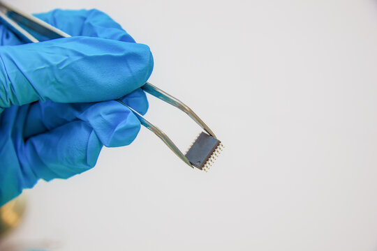 Hand in blue glove holds tweezers with smd compenent chip for pcb