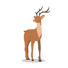 Elegant noble sika deer. Reindeer with antlers on white background. Ruminant mammal animal. Vector illustration in flat cartoon style.