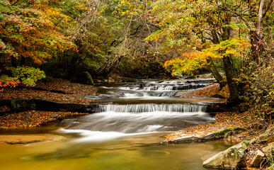 Plakat waterfall in autumn forest