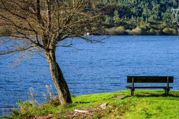 Fototapeta na wymiar Wooden bench overlooking the Pontillón de Castro ReservoiIN Pontevedra, Galicia (Spain).