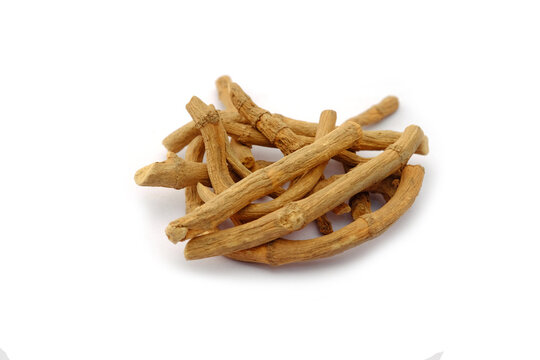 Saururus chinensis, dried Asian lizard's tail root on white background
