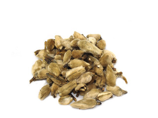 Dried lily flower bud on white background