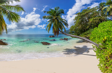 Naklejka na ściany i meble Paradise beach with coco palms and tropical sea. Fashion travel and tropical beach concept.