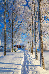Tree lined path in a wintry landscape to a red cottage