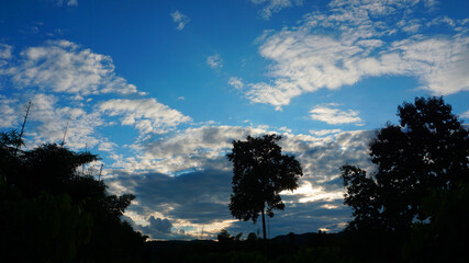 Obraz premium The blue sky is naturally sunny on white clouds in bright weather atop the green trees. 