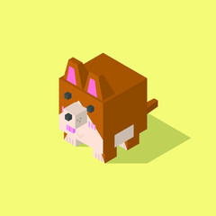 Welsh Corgi dog cubic isometric on yellow background