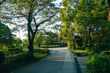朝の隅田公園　秋　散歩コース