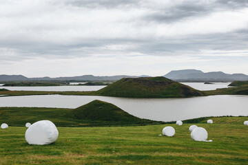 Volcanic Craters In Green Plains. Myvatn, Iceland