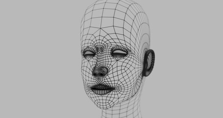 Obraz premium 3d wireframe head