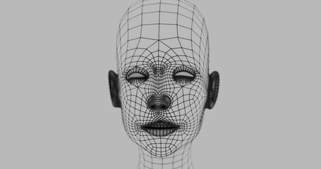 3d wireframe head