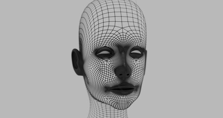 3d wireframe head