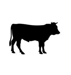 cow bull cattle silhouette