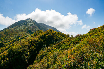 紅葉・黃葉の山　雨飾山稜線